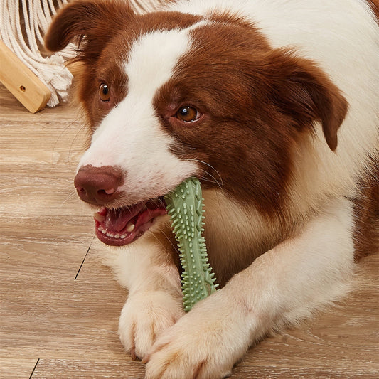 Dog Toothbrush Chew Toy | Interactive Dental Care & Gum Massager
