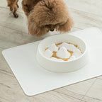 Healthy Slow Feeder Pet Bowl | Non-Skid Anti-Gulping Food Dish