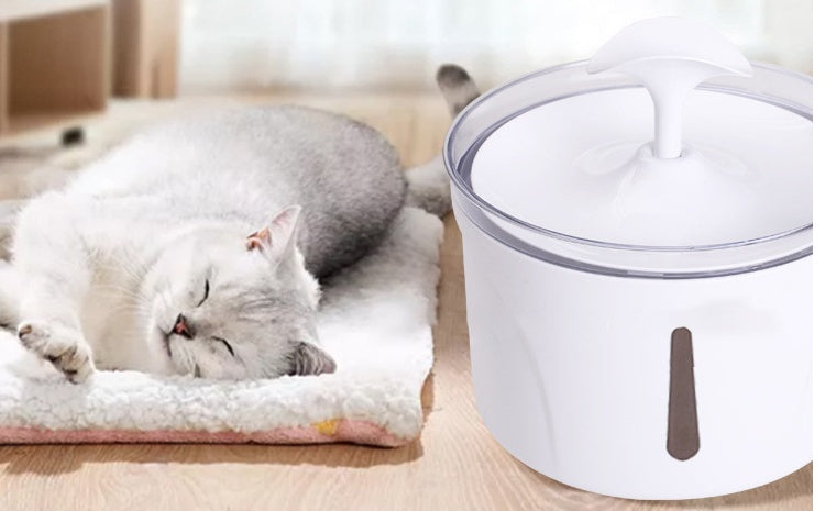 Smart Pet Water Fountain | Automatic Circulating Filtered Drink Dispenser