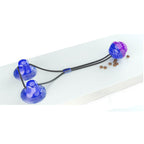 Heavy-Duty Suction Cup Dog Toy | Tug, Chew, and Teaser for Pets