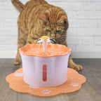 Quiet Pet Water Feeding Machine | Circulating Filtered Water Fountain