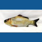 Realistic Fish Plush Toys for Cats