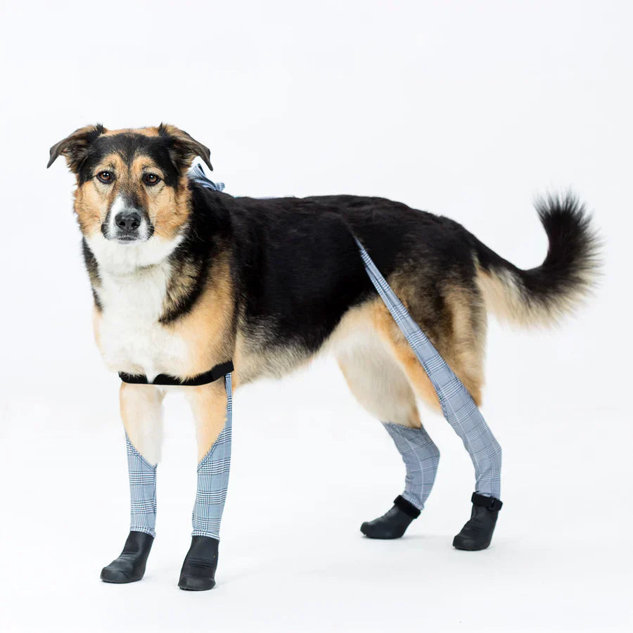 Premium Dog Leggings for Boots | Deluxe Anti-Slip Protective Winter Leg Covers