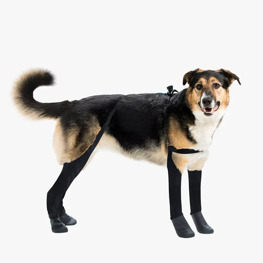 Premium Dog Leggings for Boots | Deluxe Anti-Slip Protective Winter Leg Covers