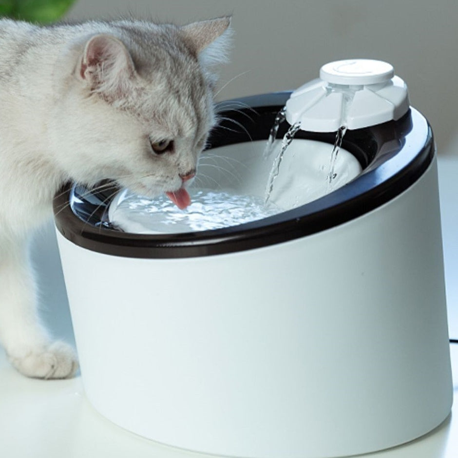 Smart Pet Water Dispenser | Automatic Circulating Filter Machine for Cats & Dogs
