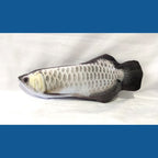 Realistic Fish Plush Toys for Cats