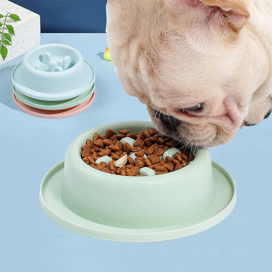 Anti-Choking Pet Slow Feeder Bowl | Food Apparatus for Healthy Digestion